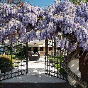 Готель Il Cecchini Pasiano Di Pordenone Exterior photo