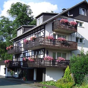 Вілла Ferienhaus Hedrich Assinghausen Exterior photo