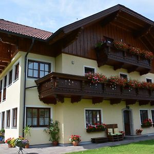 Appart Weisse Urlauben Am Wolfgangsee Санкт-Гільген Exterior photo