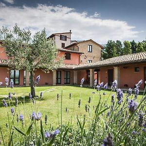 Appartamenti Poggio Fiorito Ассізі Exterior photo