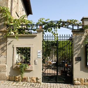 Landhotel & Weingut Espenhof Флонгайм Exterior photo