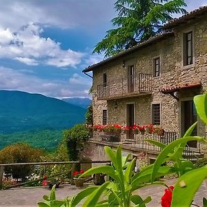 B&B Il Casale Delle Pianacce Кастільйоне-ді-Гарфаньяна Exterior photo