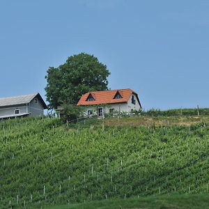 Vineyard Cottage Zdolsek Smarje pri Jelsah Exterior photo