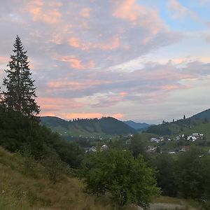 Готель Vila Bucovina Ciocanesti Exterior photo