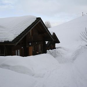 Ferienwohnungen Im Blockhaus Metzler Шварценберґ-ім-Бреґенцервальд Exterior photo