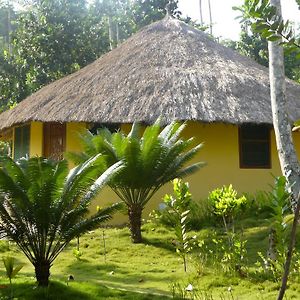 Ankobra Beach Resort Axim Exterior photo