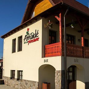 Amade Pension & Restaurant Siculeni Exterior photo
