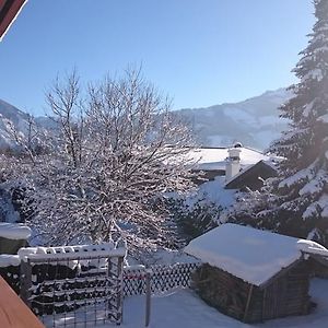 Вілла Chalet Yulia Целль-ам-Зеє Exterior photo