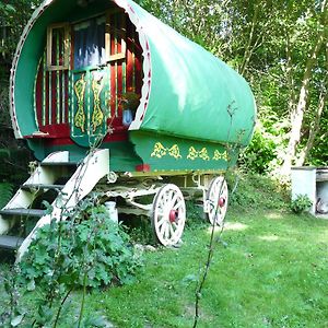 Вілла Romany Wagon & Cwtch Llandysul Exterior photo