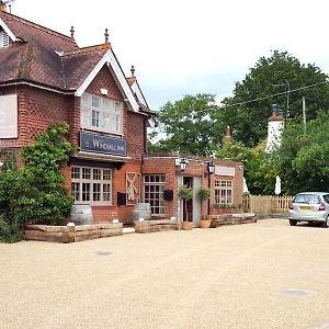 The Windmill Inn Горшам Exterior photo