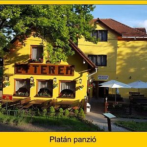 Готель Platan Panzio Добоґовкив Exterior photo