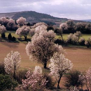 Вілла Finca El Cercado Baltanas Exterior photo