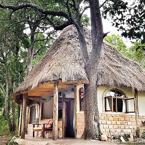 Гостьовий будинок House In The Wild Масаї-Мара Exterior photo