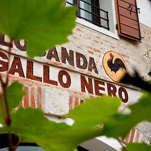 Готель Al Gallo Nero Borgoricco Exterior photo