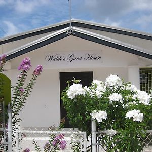 Walsh'S Guesthouse Крайст-Черч Exterior photo
