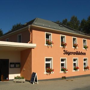 Готель Gaststaette & Pension Jaegerwaeldchen Bertsdorf Exterior photo