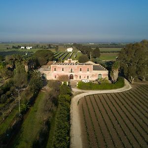 Masseria Mazzetta Salento Corte Del Falconiere B&B Саліче-Салентино Exterior photo