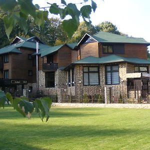 Hotel Hillden Lodge&Restaurant Drumu Carului Exterior photo