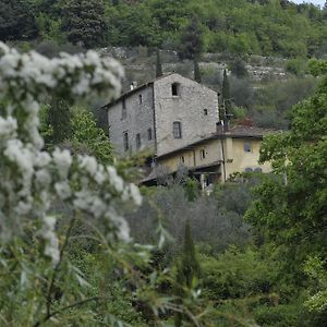 Bed and Breakfast Le Tre Colombe Баньйо-а-Ріполі Exterior photo