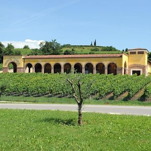 Гостьовий будинок Monte Tondo Winery Соаве Exterior photo