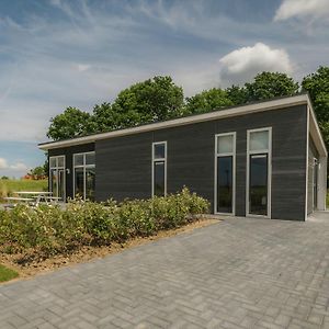 Modern Chalet At The Edge Of A Forest Near The Oosterschelde Вемельдінге Exterior photo