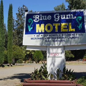 Blue Gum Motel Віллоуз Exterior photo