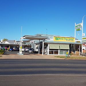 Wattle Tree Motel Кутамандра Exterior photo