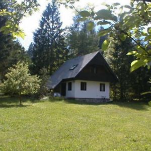 Готель Apartmaji In Sobe Bohinjsko Jezero Уканц Exterior photo