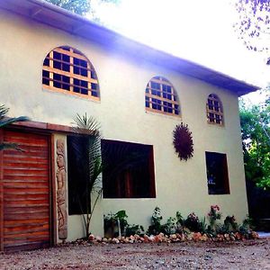 Cacao Rainforest Lodge Бельмопан Exterior photo