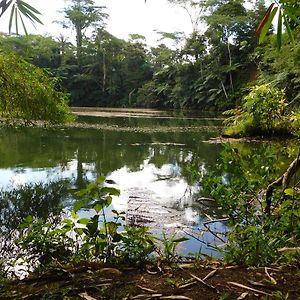 Rainforest Eco Lodge Сува Exterior photo