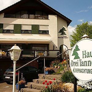 Готель Haus Drei Tannen Schieder-Schwalenberg Exterior photo
