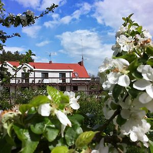 Bed and Breakfast "Osada Lesna Zamordeje" Mazury Exterior photo