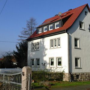 Ferienwohnungen Am Schwanenteich Мюльгаузен Exterior photo