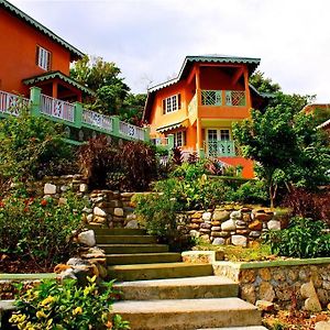 Pimento Lodge Resort Порт-Антоніо Exterior photo
