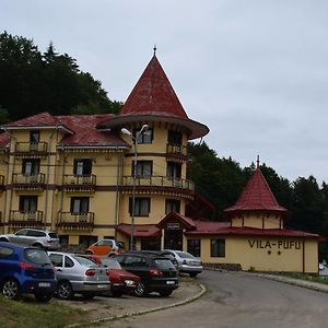 Готель Vila Pufu Сленік-Молдова Exterior photo