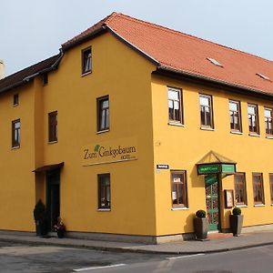 Готель Zum Ginkgobaum Stadtilm Exterior photo
