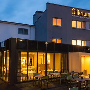 Hotel Silicium Гер-Ґренцгаузен Exterior photo