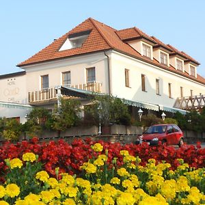 Hotel Geier Бад-Шенау Exterior photo