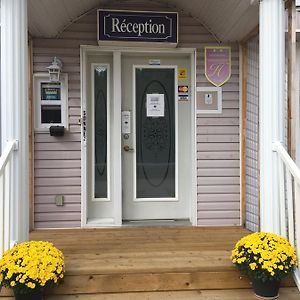 Auberge Motel Panorama Lac-Bouchette Exterior photo