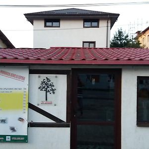 Bed and Breakfast La Livada Отопень Exterior photo