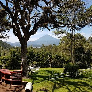 Bed and Breakfast Bosque Macadamia El Tejar Exterior photo