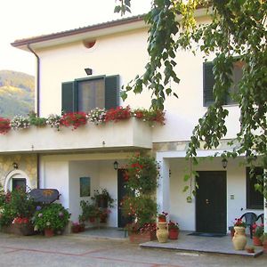 B&B Sole Del Pollino Ротонда Exterior photo