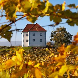 Апартаменти Wine Grower'S Mansion Zlati Gric Словенське Коніце Exterior photo