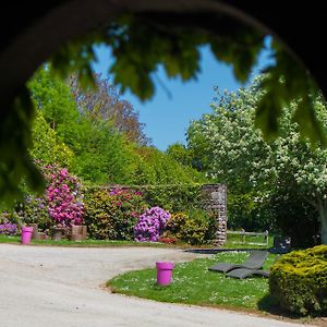 Chateau De Brelidy Exterior photo