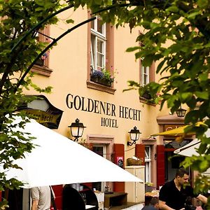 Hotel Goldener Hecht Гайдельберг Exterior photo
