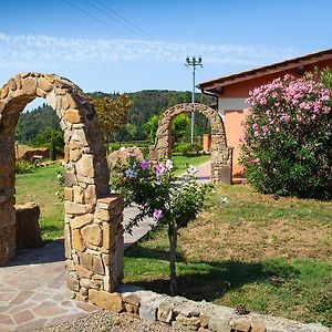 Bed and Breakfast Poggio Mariett Кастільйоне-делла-Пеская Exterior photo