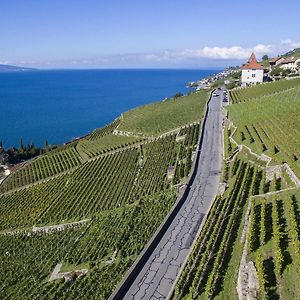 Готель Domaine Du Burignon Saint-Saphorin Exterior photo