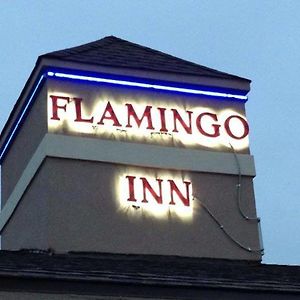 Flamingo Inn Елк-Сіті Exterior photo