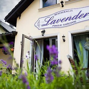 Lavender - Restauracja I Pokoje Goscinne Нови-Томишль Exterior photo