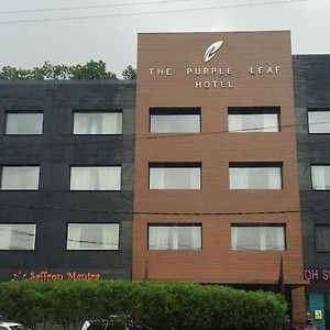 The Purple Leaf Hotels Гайдарабад Exterior photo